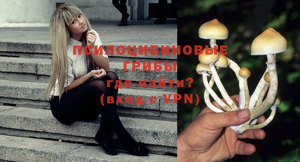 PSILOCYBIN Баксан